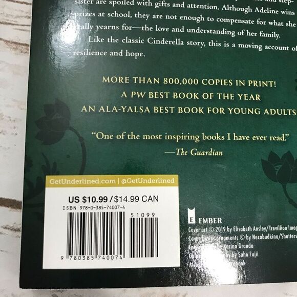 Chinese‎ Cinderella Novel Book Chapter Book Young Adult - Picture 5 of 7